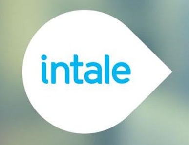 Intale: A digital assistant for small shop owners